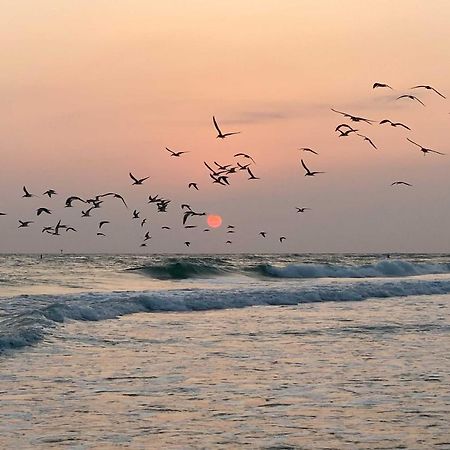 Lido Key Hideout With Patio And Yard And Walk To Beach! Sarasota Bagian luar foto